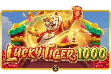 6k bet